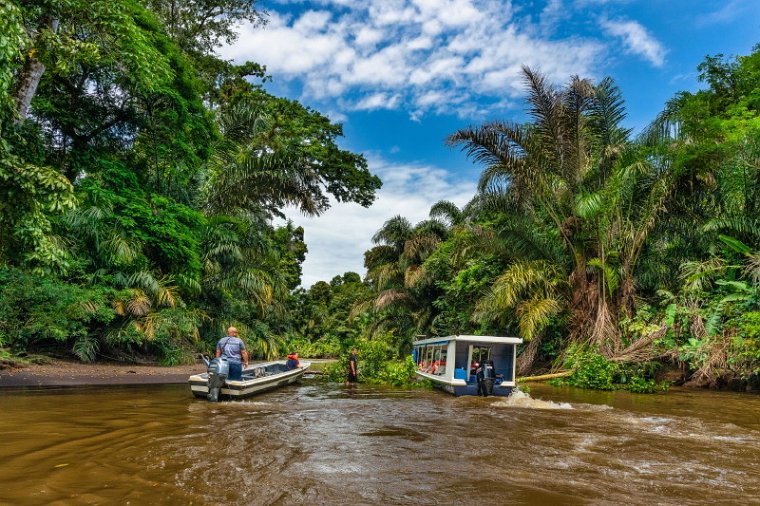 005 Tortuguero.jpg